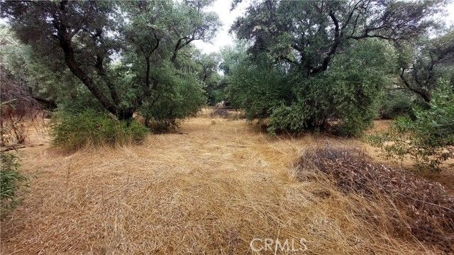 1547 Blackburn, Corning, CA 96021