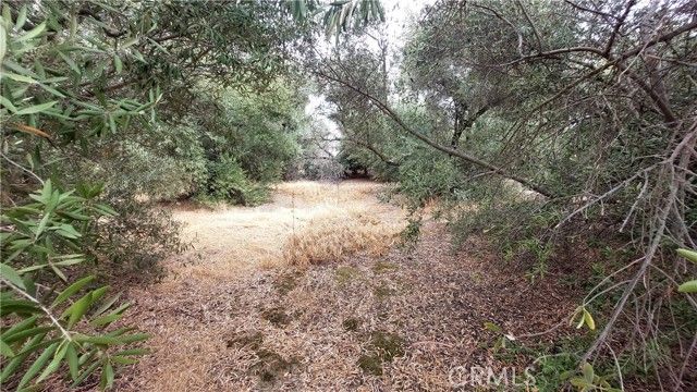 1547 Blackburn, Corning, CA 96021