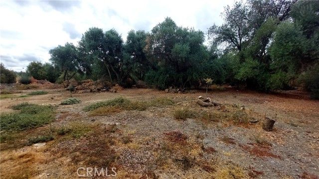 1547 Blackburn, Corning, CA 96021