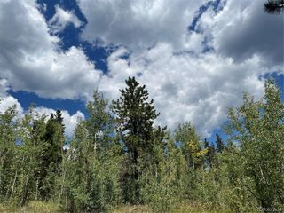795 Russell Gulch Rd, Central City, CO 80427