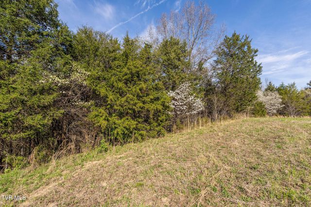 000 Horseshoe Bend Road, Jonesborough, TN 37659