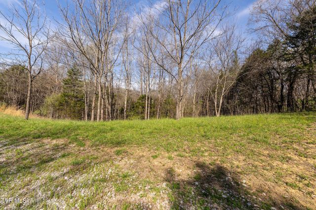 000 Horseshoe Bend Road, Jonesborough, TN 37659