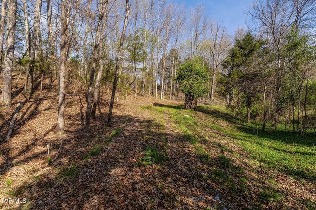000 Horseshoe Bend Road, Jonesborough, TN 37659