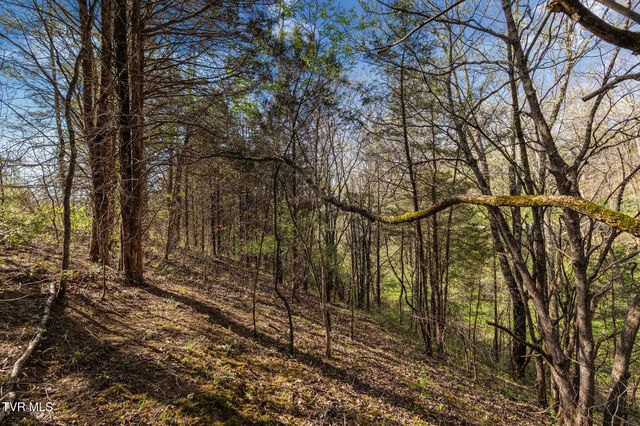 000 Horseshoe Bend Road, Jonesborough, TN 37659