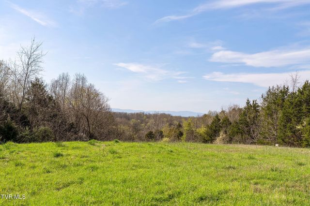 000 Horseshoe Bend Road, Jonesborough, TN 37659