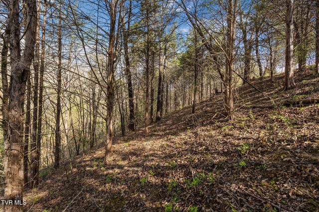 000 Horseshoe Bend Road, Jonesborough, TN 37659