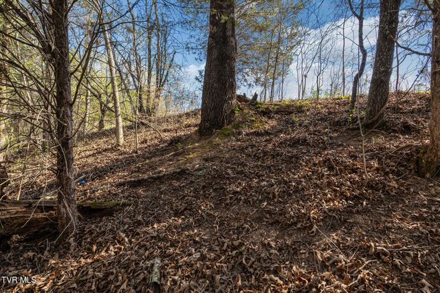 000 Horseshoe Bend Road, Jonesborough, TN 37659