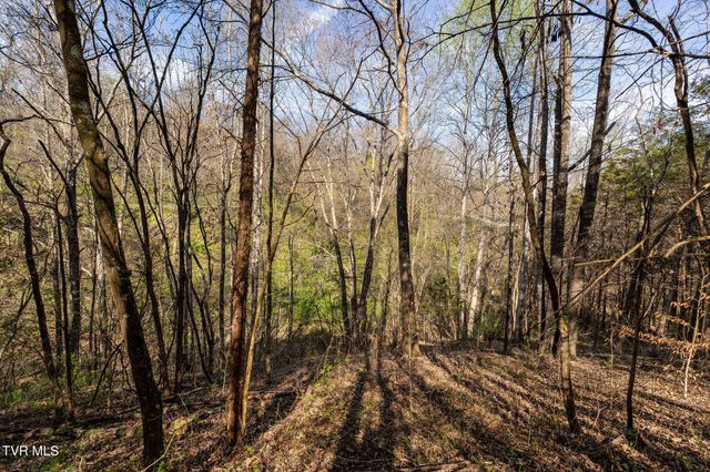 000 Horseshoe Bend Road, Jonesborough, TN 37659