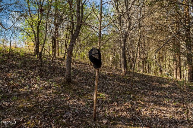 000 Horseshoe Bend Road, Jonesborough, TN 37659