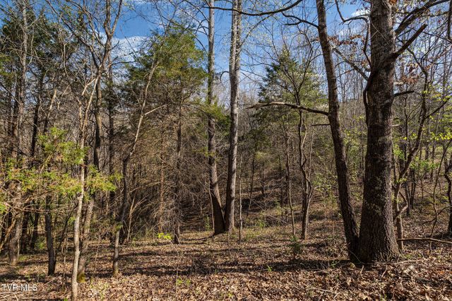 000 Horseshoe Bend Road, Jonesborough, TN 37659
