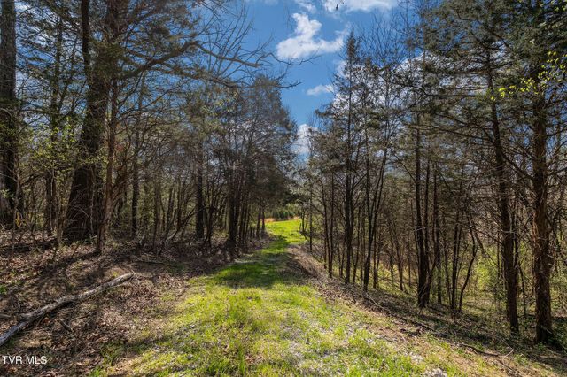 000 Horseshoe Bend Road, Jonesborough, TN 37659