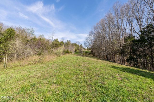 000 Horseshoe Bend Road, Jonesborough, TN 37659