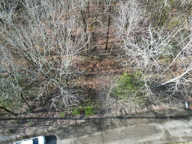 0 Wilson Circle, Smithville, TN 37166