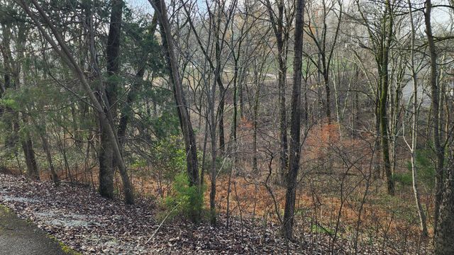 0 Wilson Circle, Smithville, TN 37166