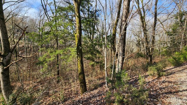 0 Wilson Circle, Smithville, TN 37166