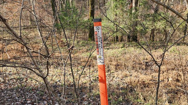 0 Wilson Circle, Smithville, TN 37166