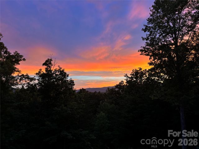 631 Mountain Parkway, Mill Spring, NC 28756