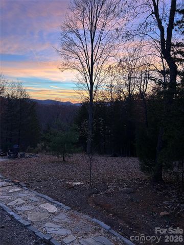 631 Mountain Parkway, Mill Spring, NC 28756