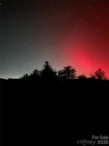 631 Mountain Parkway, Mill Spring, NC 28756