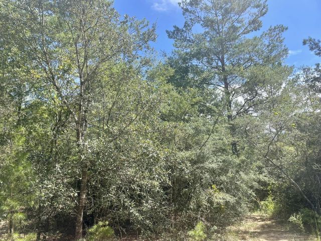 Lot 5 Lucky Leaf Lane, Defuniak Springs, FL 32433
