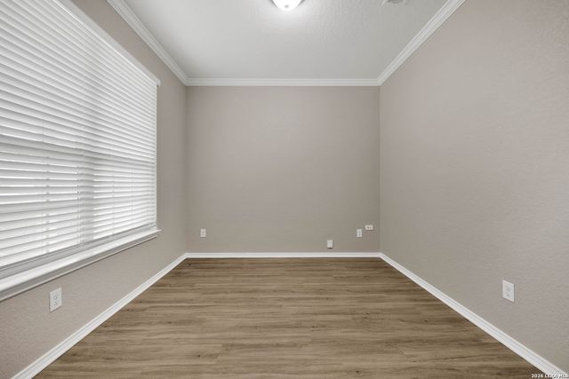 584 Saddlehorn Way, Cibolo, TX 78108