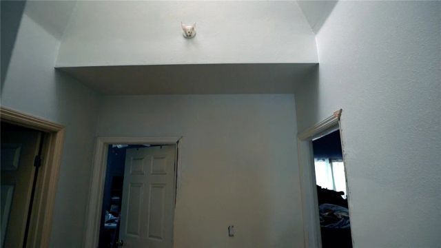 9928 Sunland Boulevard, Sunland, CA 91040