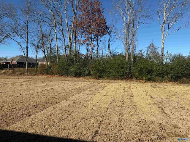 151 Olde Hearth Road, New Market, AL 35761