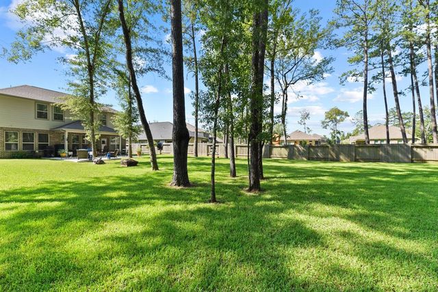 315 Cadela Drive, Montgomery, TX 77316