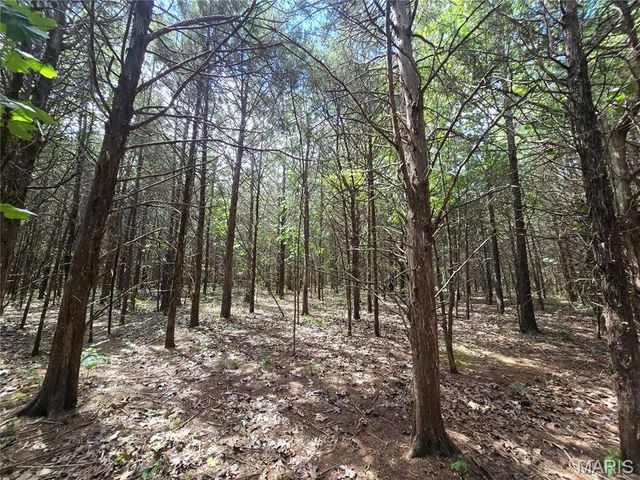 5091 Jarvis Road, Park Hills, MO 63601