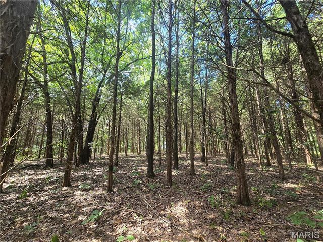 5091 Jarvis Road, Park Hills, MO 63601