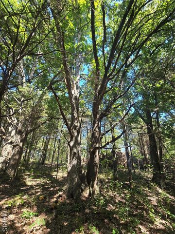 5091 Jarvis Road, Park Hills, MO 63601