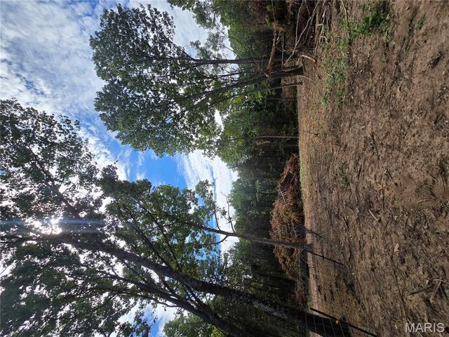 5091 Jarvis Road, Park Hills, MO 63601