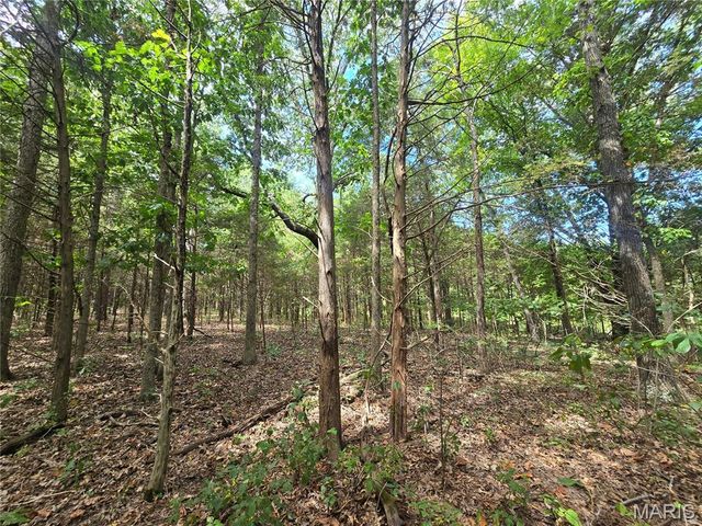 5091 Jarvis Road, Park Hills, MO 63601