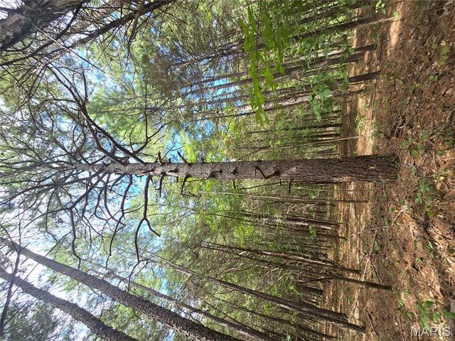 5091 Jarvis Road, Park Hills, MO 63601