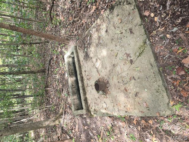 5091 Jarvis Road, Park Hills, MO 63601