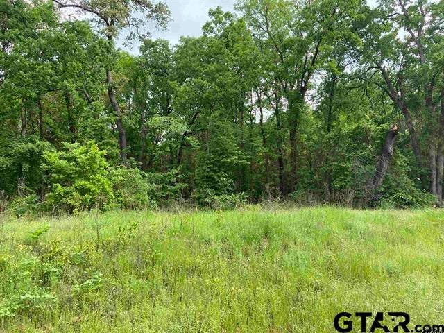 23526 FM 1995, Lindale, TX 75771