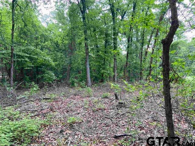 23526 FM 1995, Lindale, TX 75771