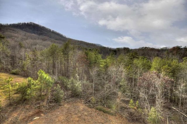 3804 Aska Road, Blue Ridge, GA 30513