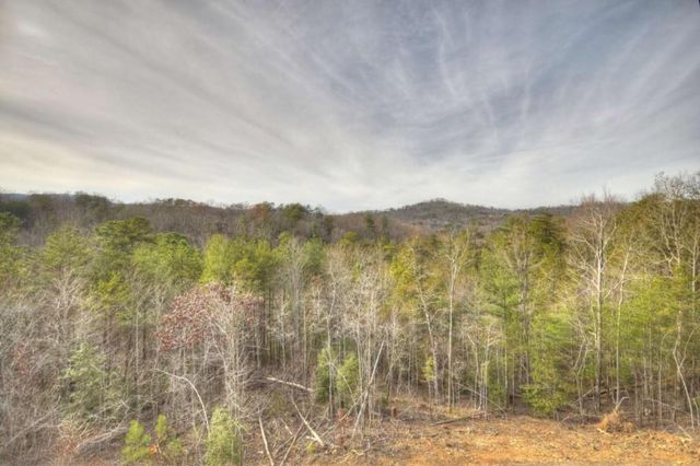 3804 Aska Road, Blue Ridge, GA 30513