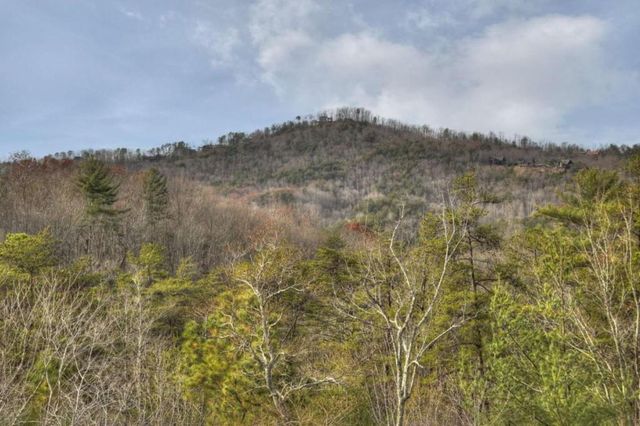 3804 Aska Road, Blue Ridge, GA 30513