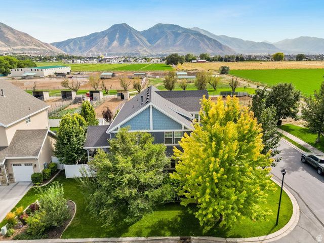 1123 S WILDFLOWER LN, Mapleton, UT 84664
