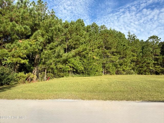 155 Everett Park Trail, Holly Ridge, NC 28445