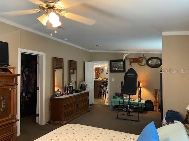 2505 WILLIAMS ROAD, Plant City, FL 33565