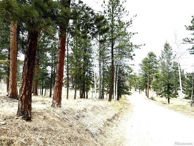 252 Beaver Trl, Bailey, CO 80421