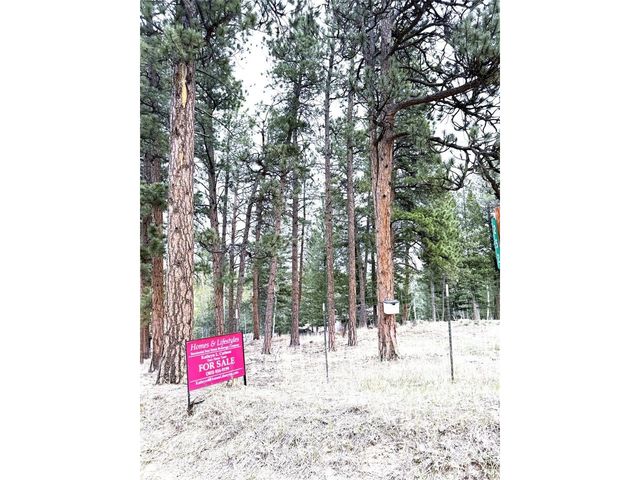 252 Beaver Trl, Bailey, CO 80421