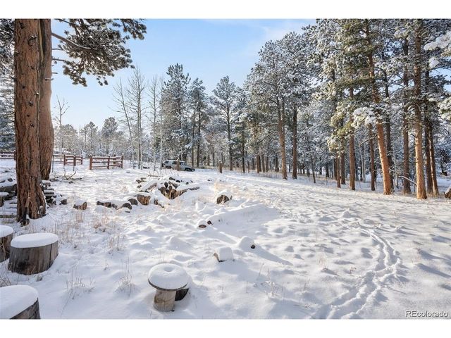 252 Beaver Trl, Bailey, CO 80421