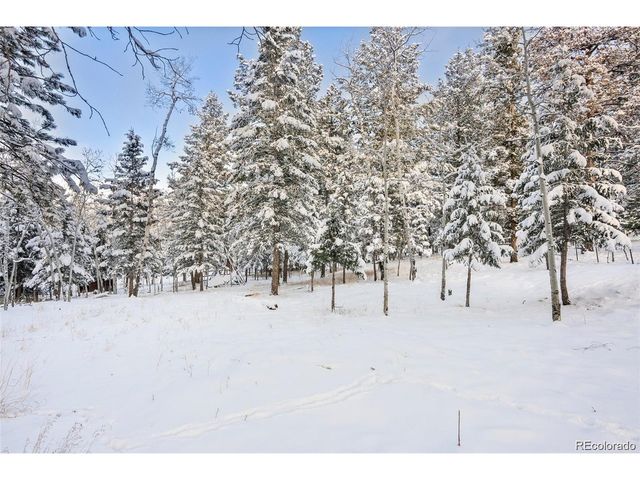 252 Beaver Trl, Bailey, CO 80421