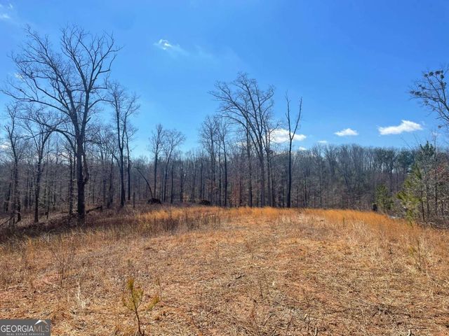 108 Red Plum Drive, Ellijay, GA 30540