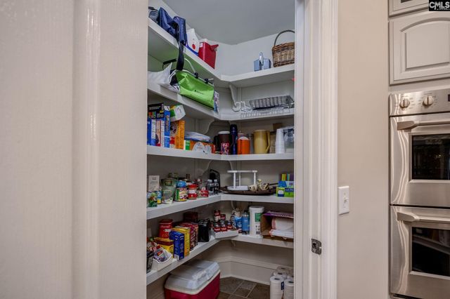 255 Palmer Drive, Lexington, SC 29072