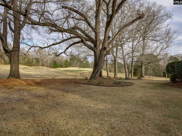 255 Palmer Drive, Lexington, SC 29072